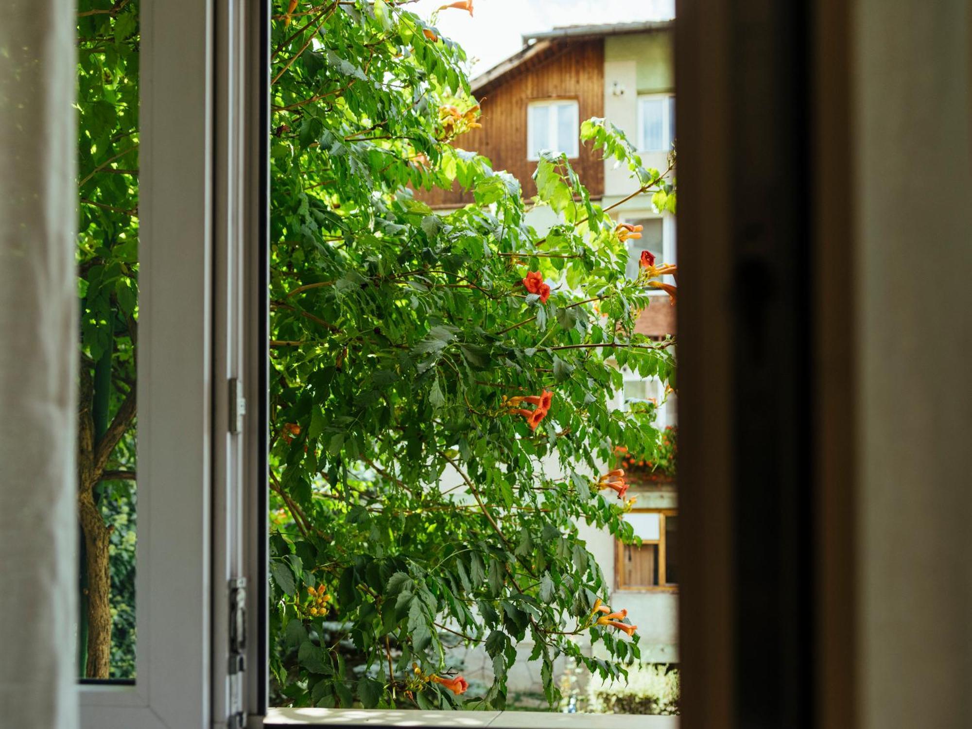 Cozy Central Apartment Near The Forest Брашов Екстериор снимка