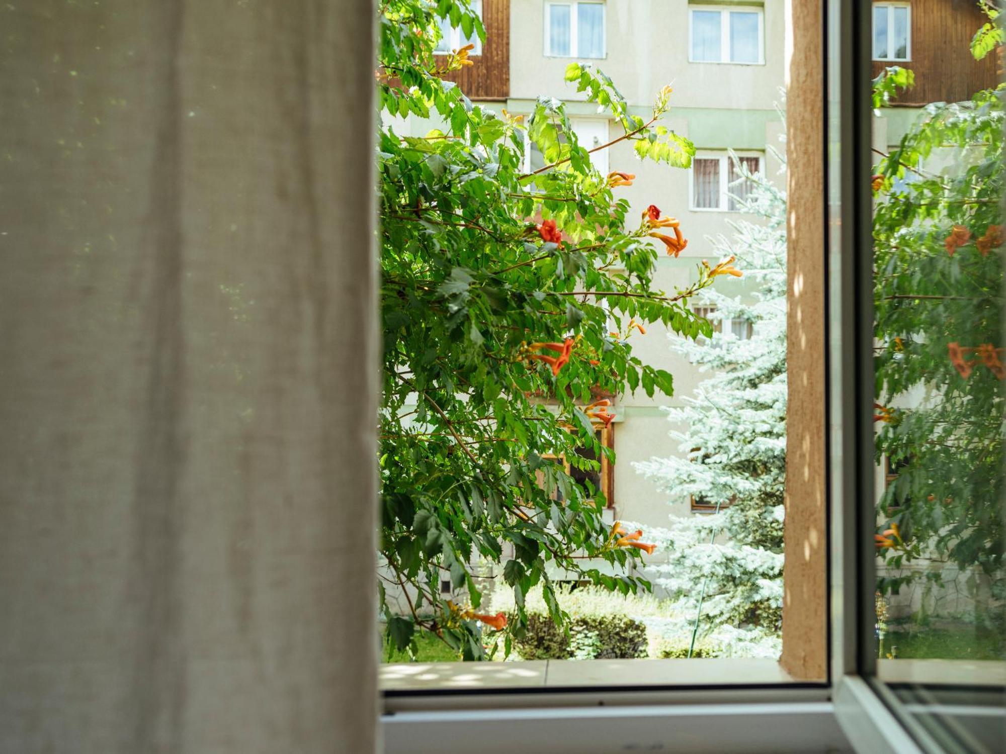 Cozy Central Apartment Near The Forest Брашов Екстериор снимка