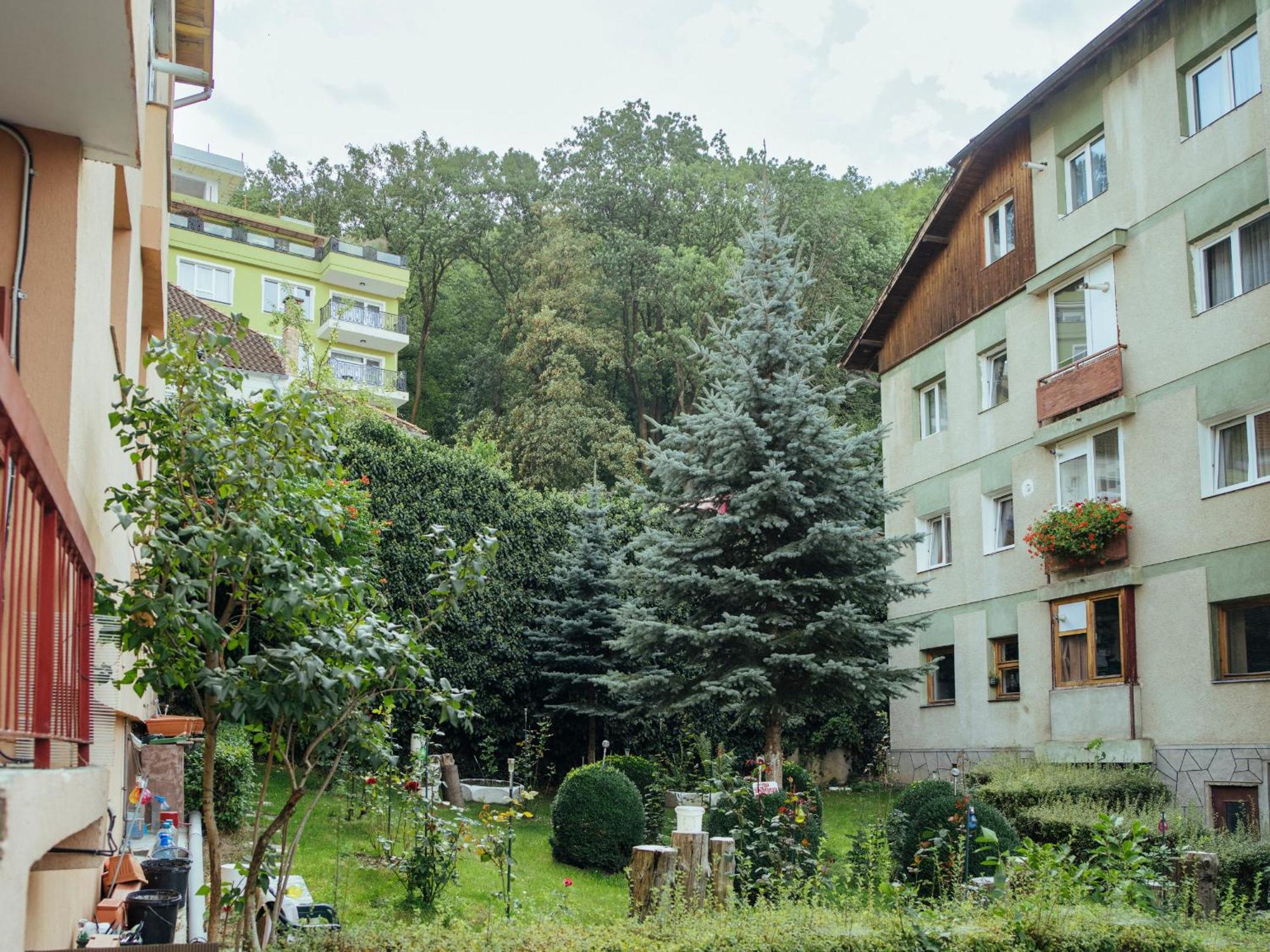 Cozy Central Apartment Near The Forest Брашов Екстериор снимка